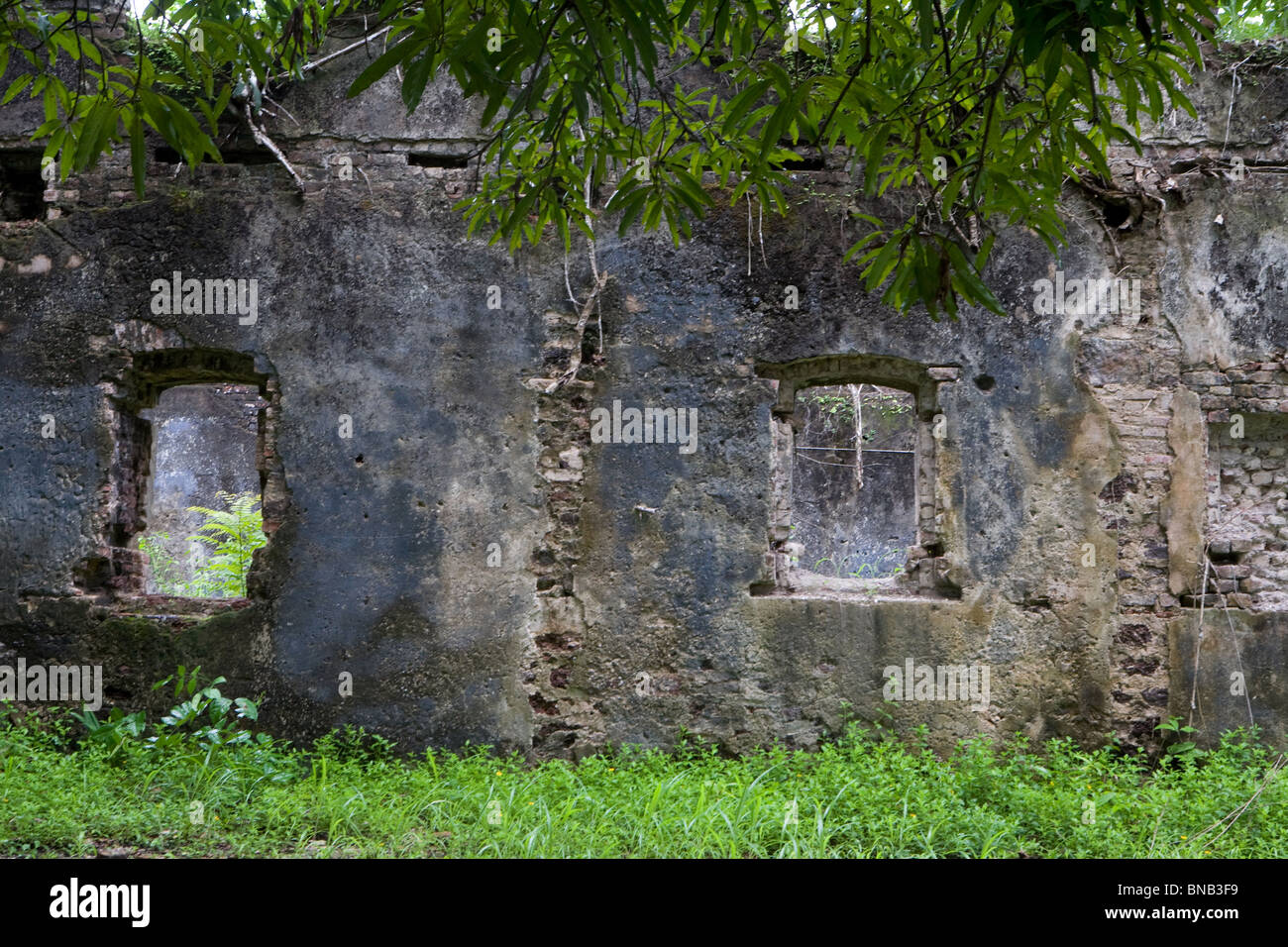 Bunce Island, Sierra Leone, rovine di British più grande castello slave Africa occidentale Foto Stock