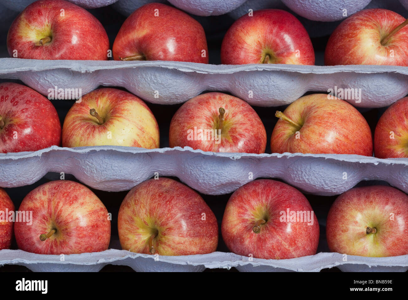 Diverse le mele in vassoi di spedizione come consegnati ai supermercati Foto Stock