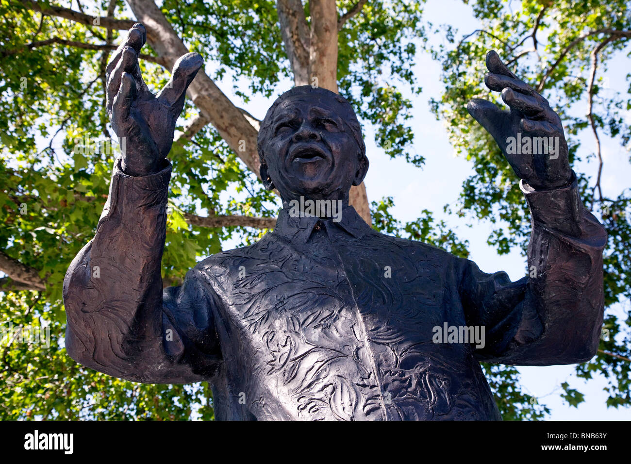 Nelson Mandela statua, la piazza del Parlamento, Londra Foto Stock