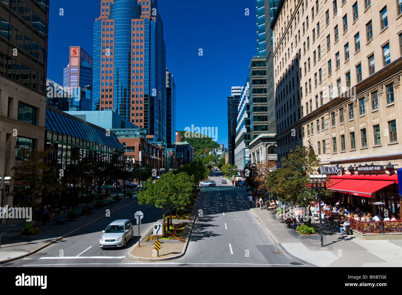 McGill avenue Montreal Downtown Foto Stock