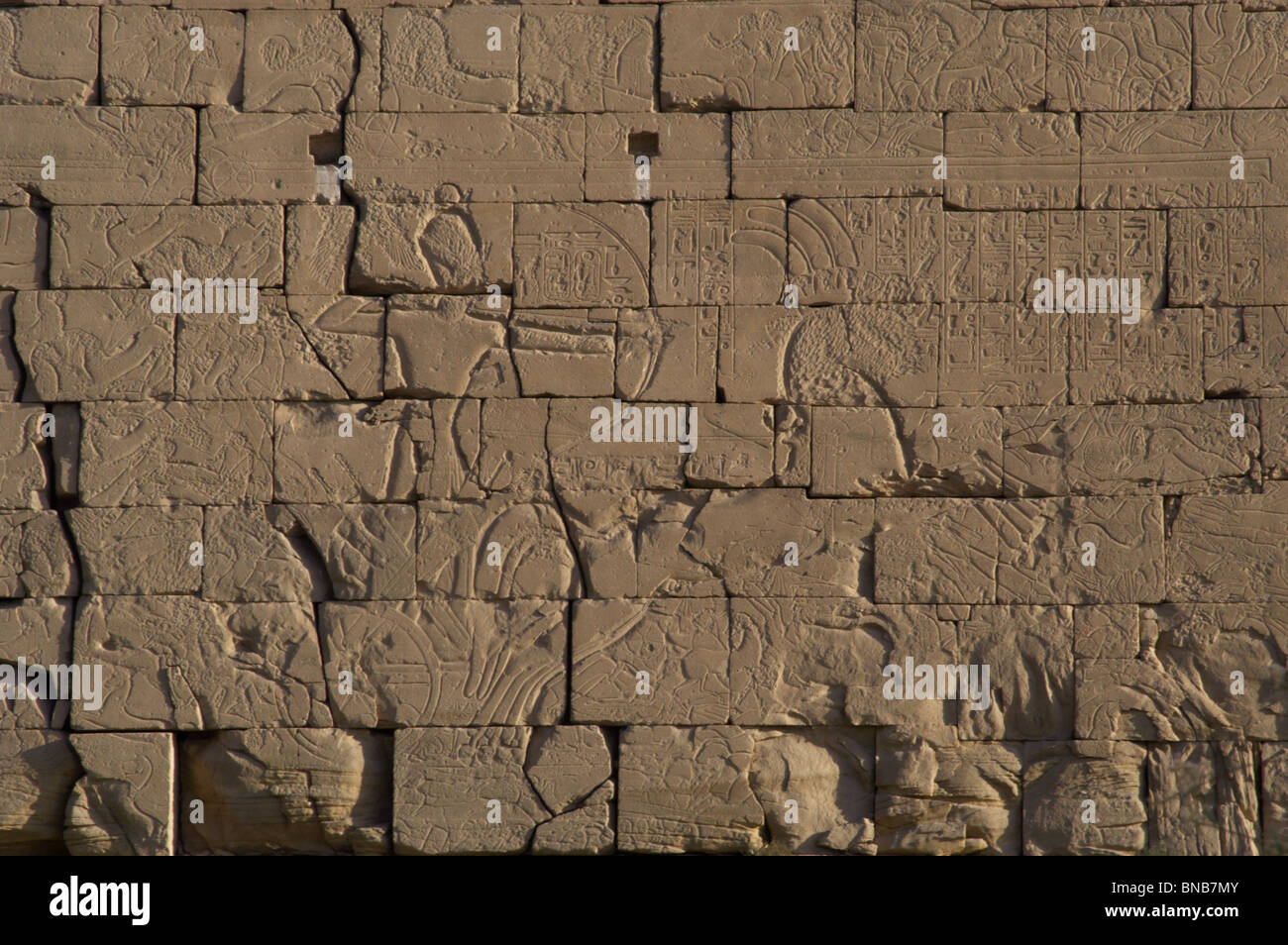 Ramesseum. Rilievo raffigurante il faraone in un carro durante una battaglia. L'Egitto. Foto Stock