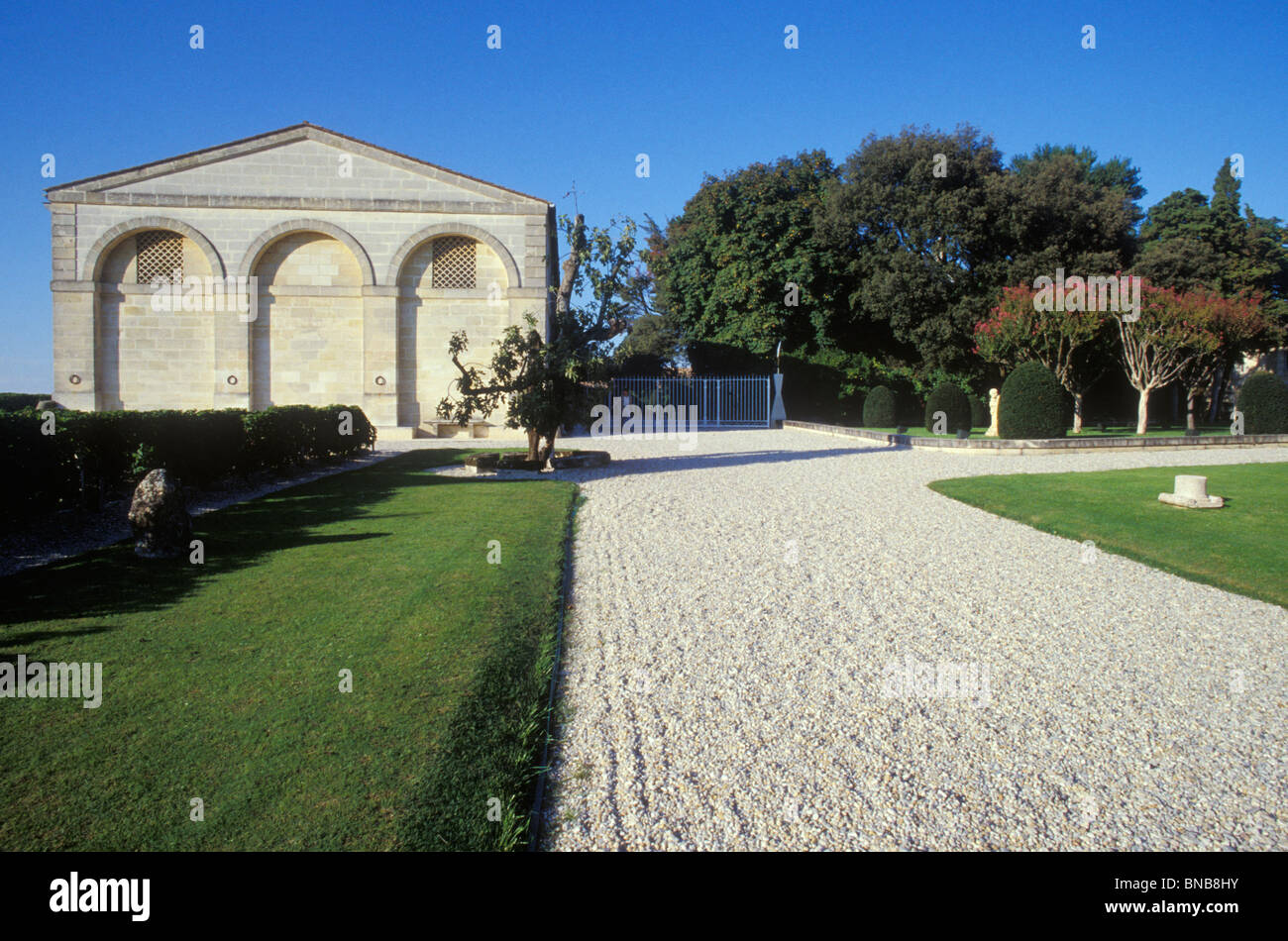 CHATEAU Mouton Rothschild Vigna Vigneto, MEDOC, Aquitaine, Francia Foto Stock