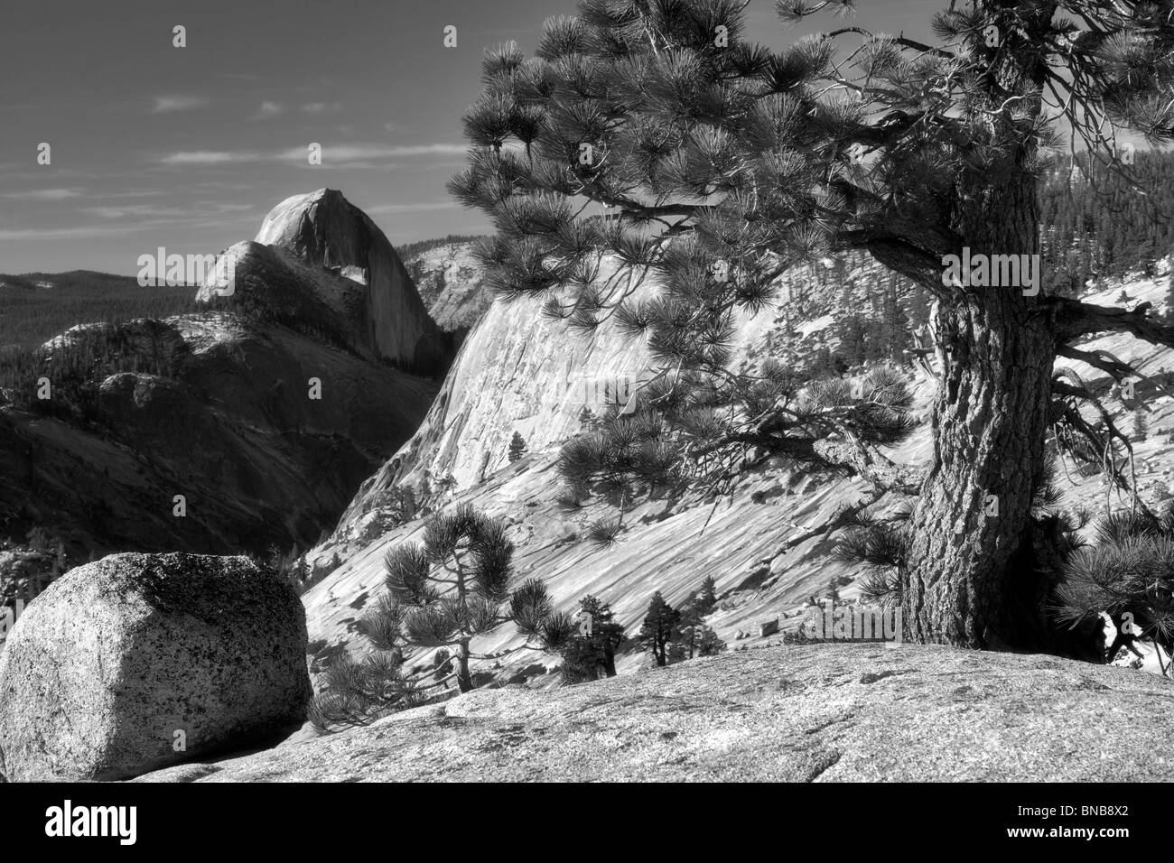 Roccia di granito e mezza cupola. Parco Nazionale di Yosemite in California Foto Stock