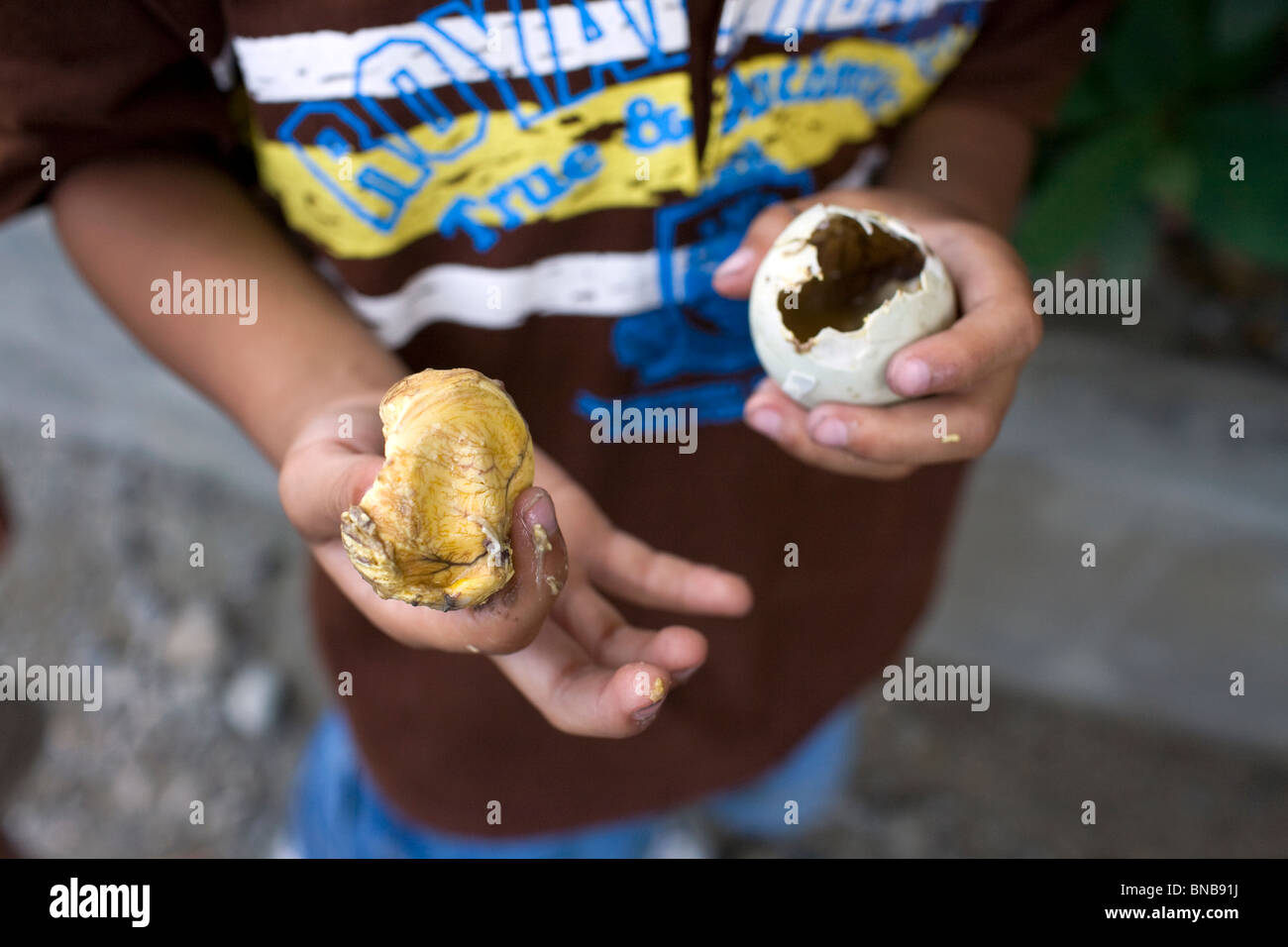 Un ragazzo filippino visualizza il tuorlo di un balut, o cotte fertilizzato Duck egg, mentre godendo la delicatezza nelle Filippine. Foto Stock