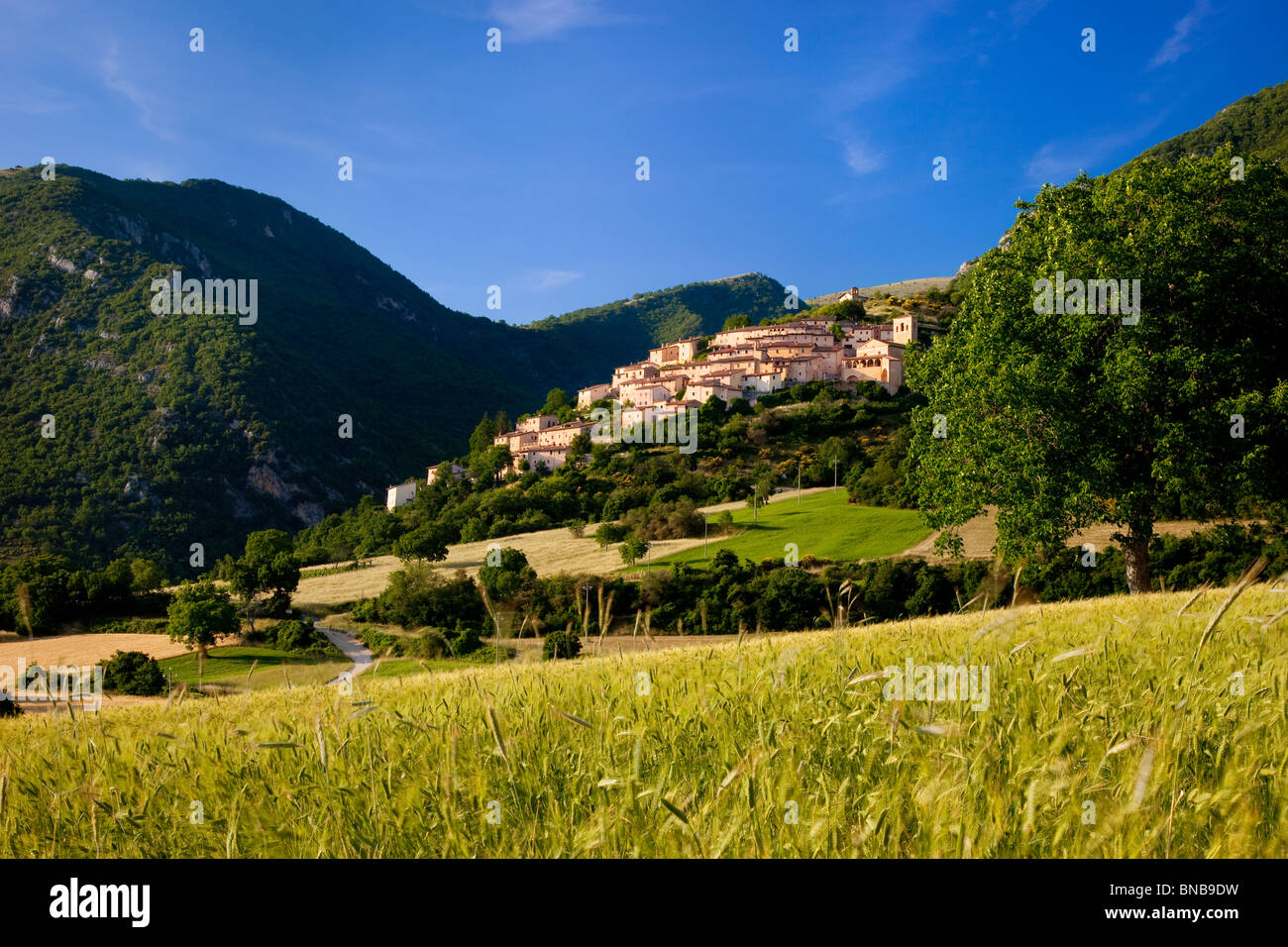 Il borgo medioevale di Campi Vecchio, Umbria Italia Foto Stock