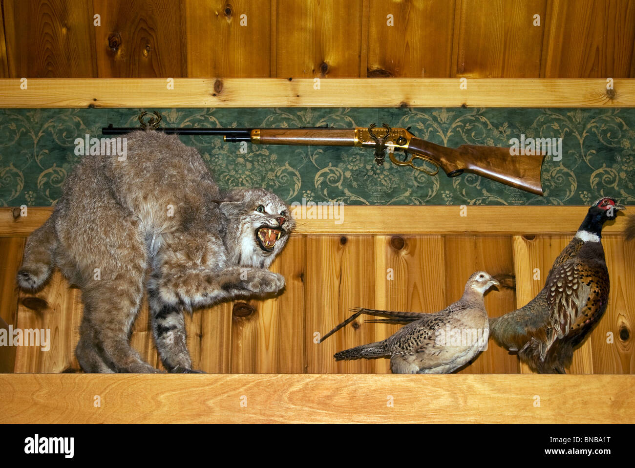 Il famoso Wall Drug Store di Wall, South Dakota, è una leggendaria attrazione che offre acqua ghiacciata gratuita, souvenir e il classico fascino americano. Foto Stock
