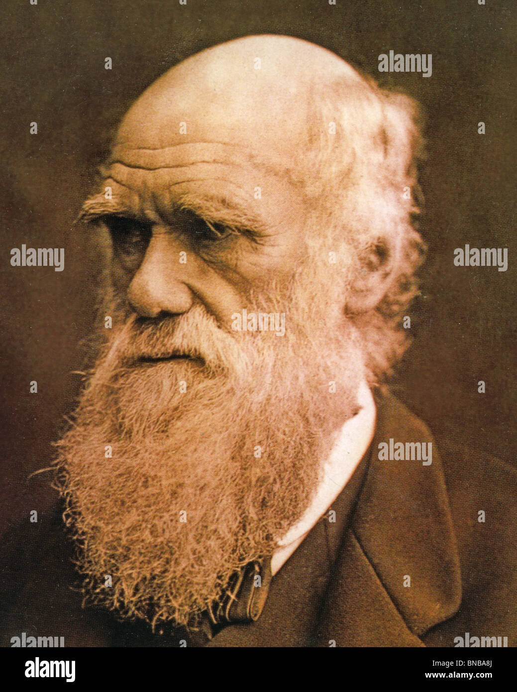 CHARLES DARWIN - naturalista inglese (1809-82) Foto Stock