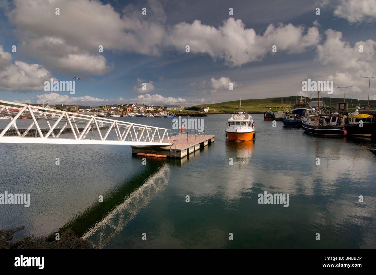 Barca che prende la gente fuori per vedere Fungie il delfino a Dingle Harbour sulla penisola di Dingle, nella contea di Kerry, Irlanda Foto Stock