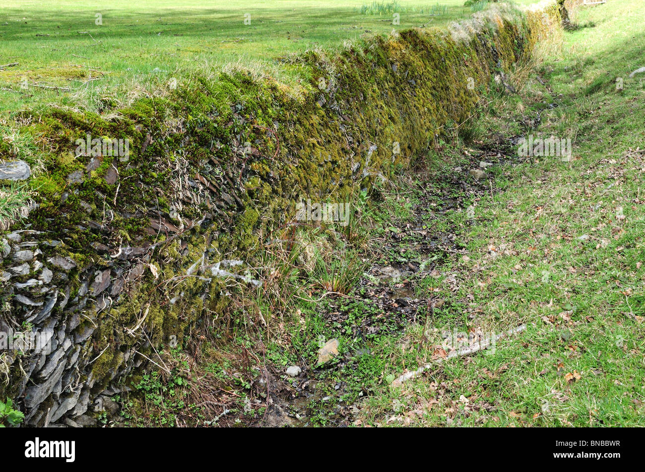 Un ha-ha un giardino trincea di design - un recinto nascosto per proteggere la vista Ceredigion nel Galles Cymru K GB Foto Stock
