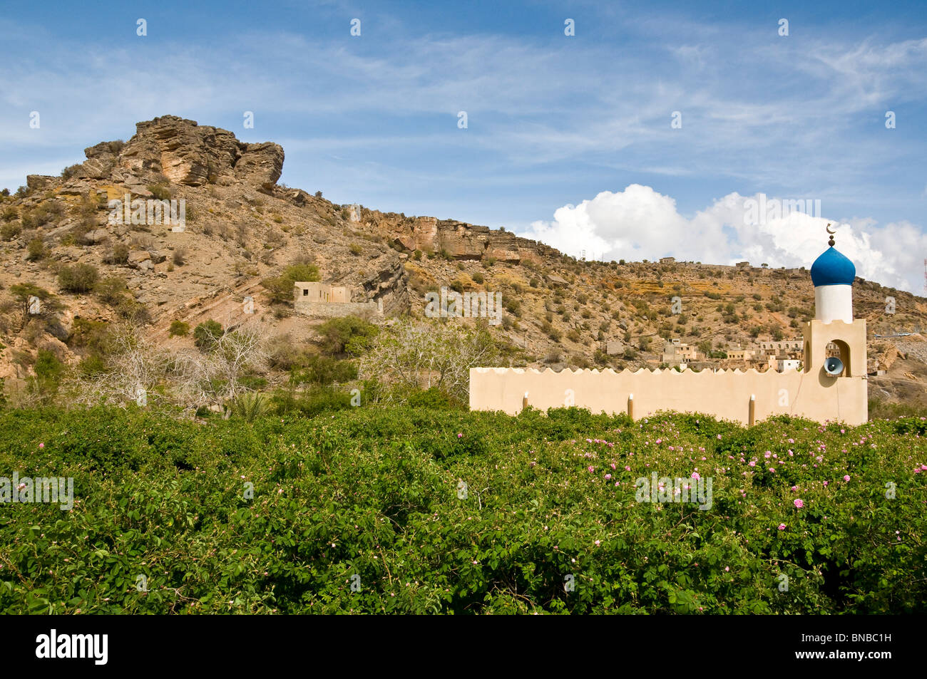Moschea di Jabal el Akhdar Al Dakhiliyah regione Sultanato di Oman Foto Stock