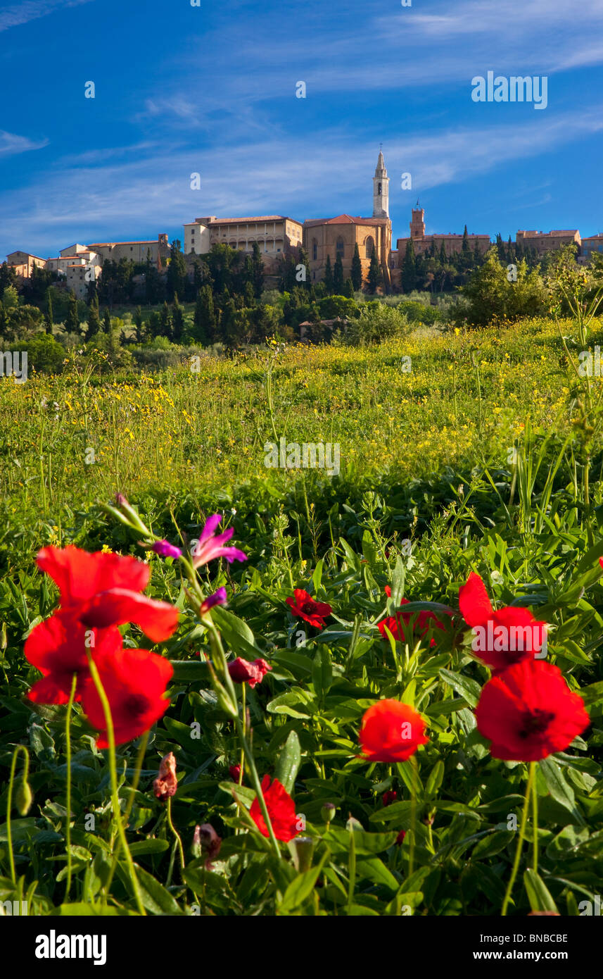 Papaveri in un campo di fiori selvatici al di sotto della città medievale di piena, Toscana Italia Foto Stock