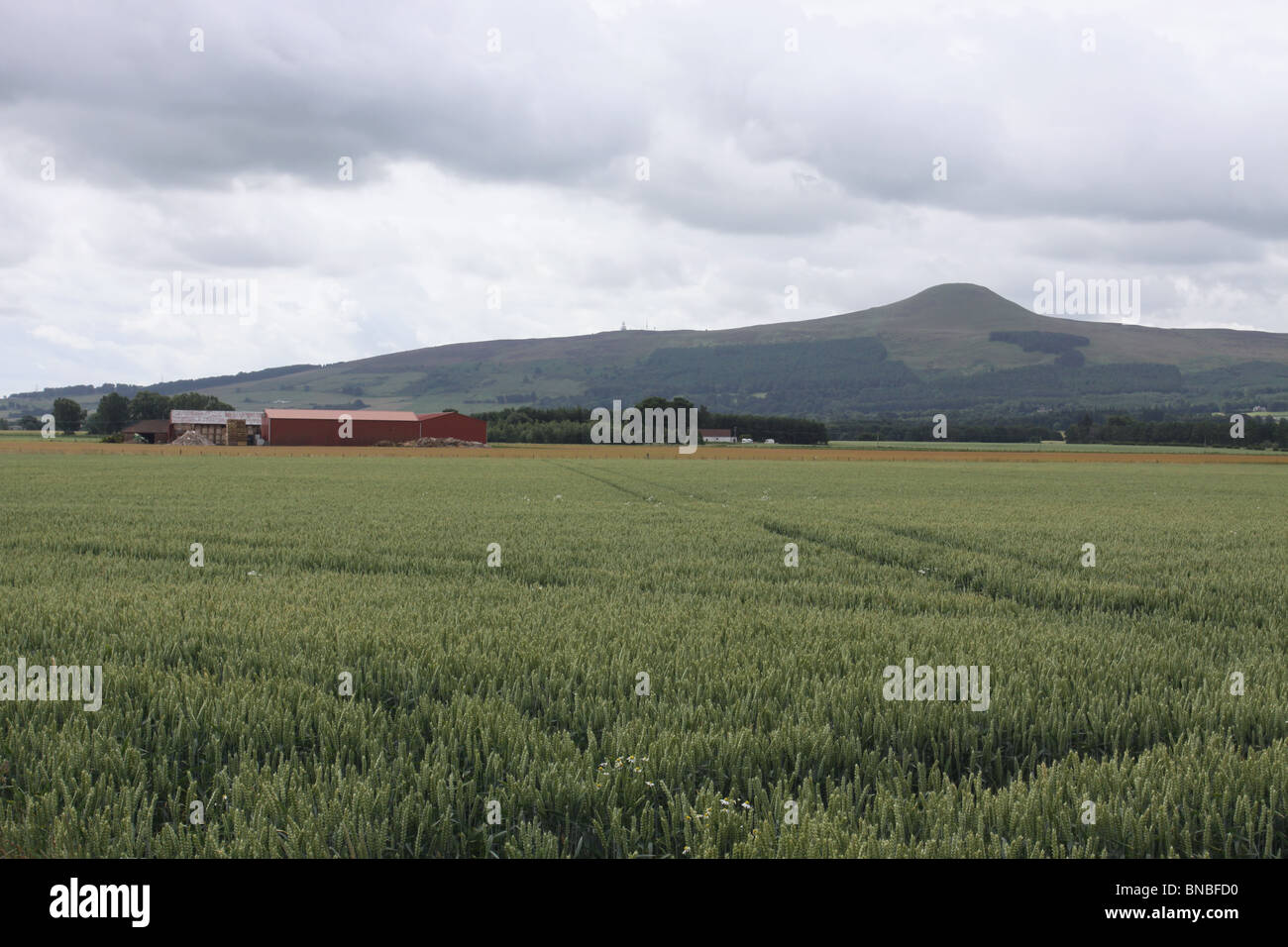 Azienda agricola scozzese con colline Lommond Scozia Maggio 2010 Foto Stock