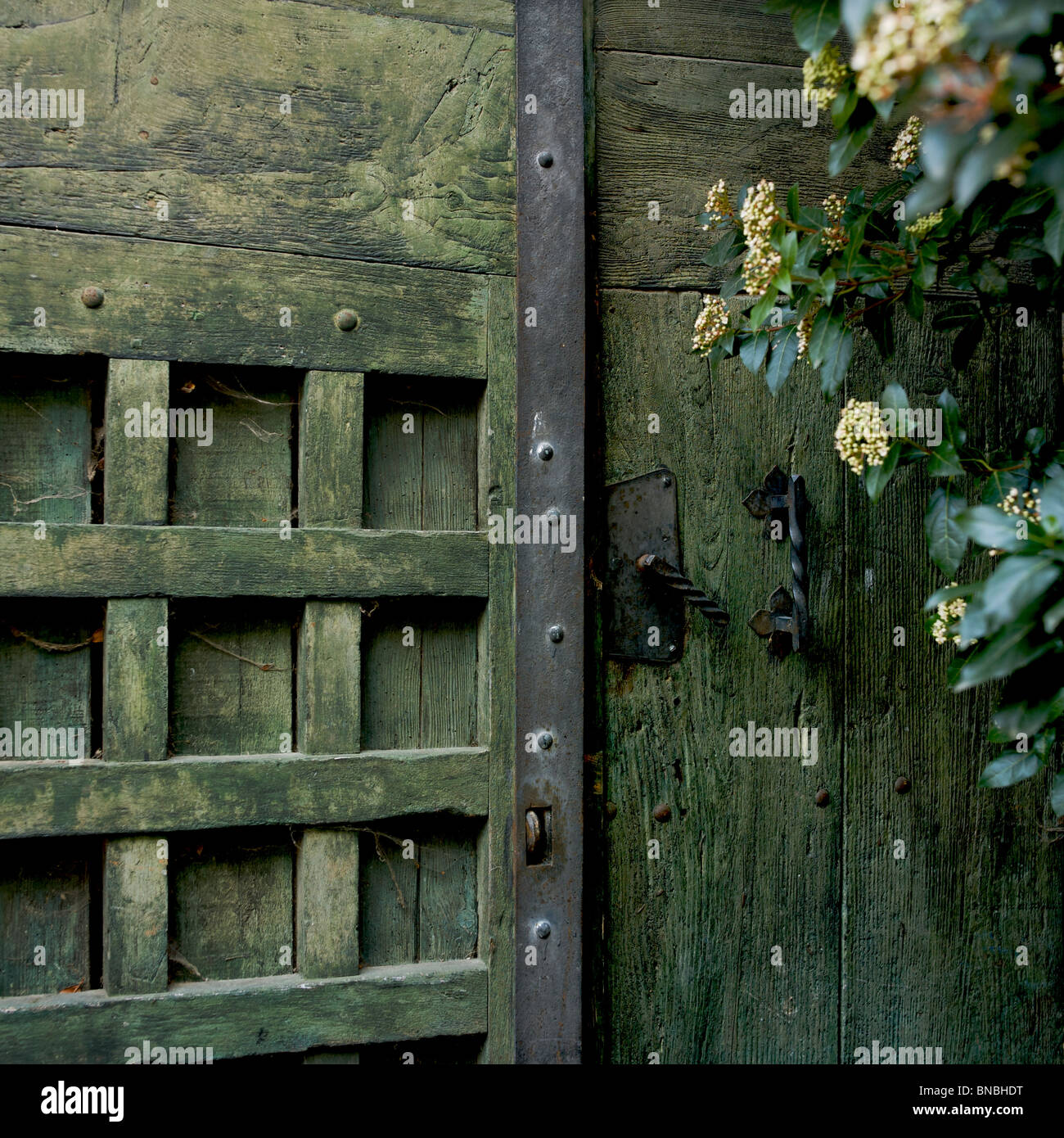 Porta in legno rustico con finiture verdi e fogliame in fiore, che invitano a dare uno sguardo al fascino della natura Foto Stock