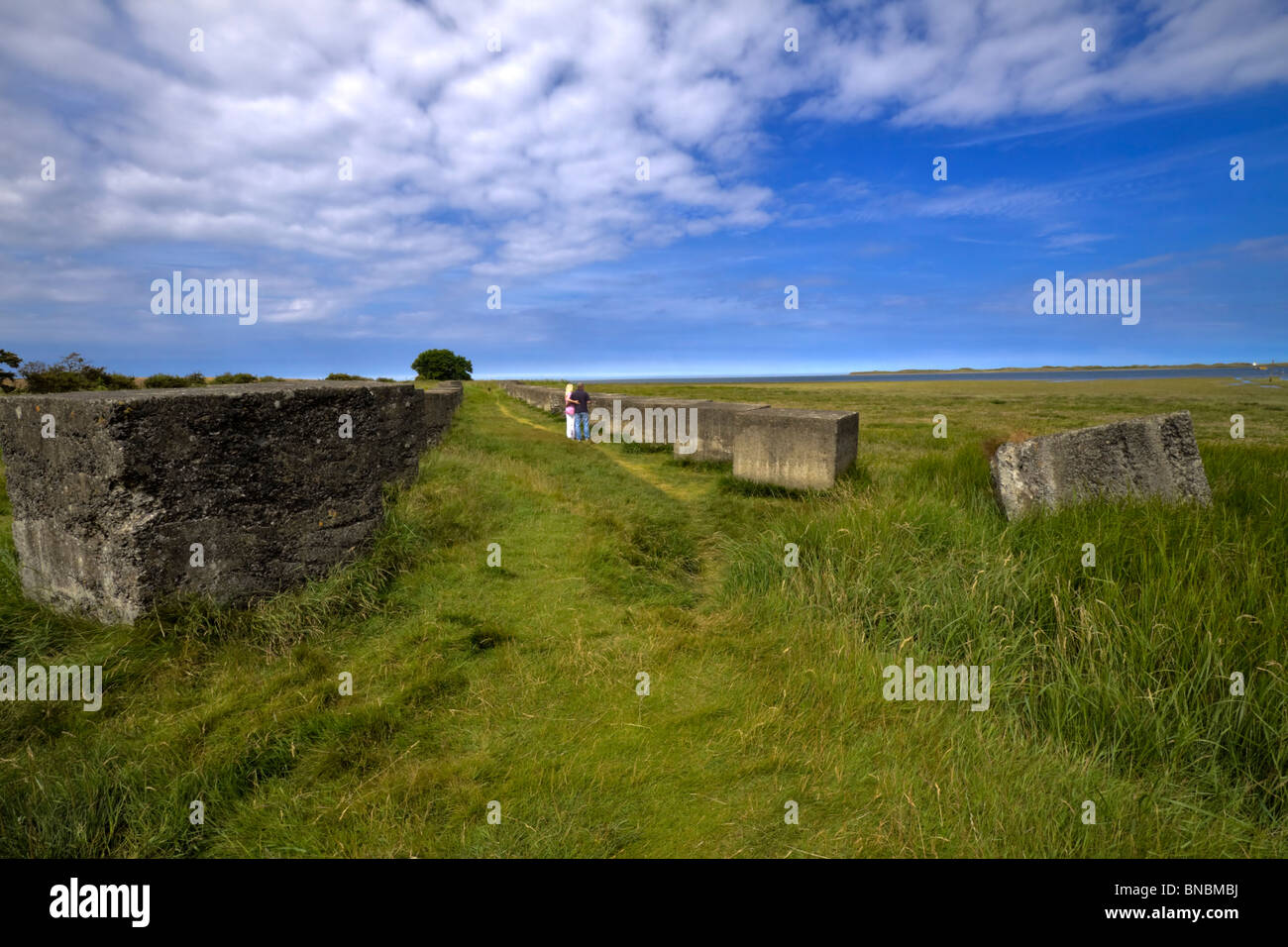 Le difese costiere in Beal, Northumberland. Grandi blocchi di cemento posto per impedire l'invasione del serbatoio durante la Seconda Guerra Mondiale. Foto Stock