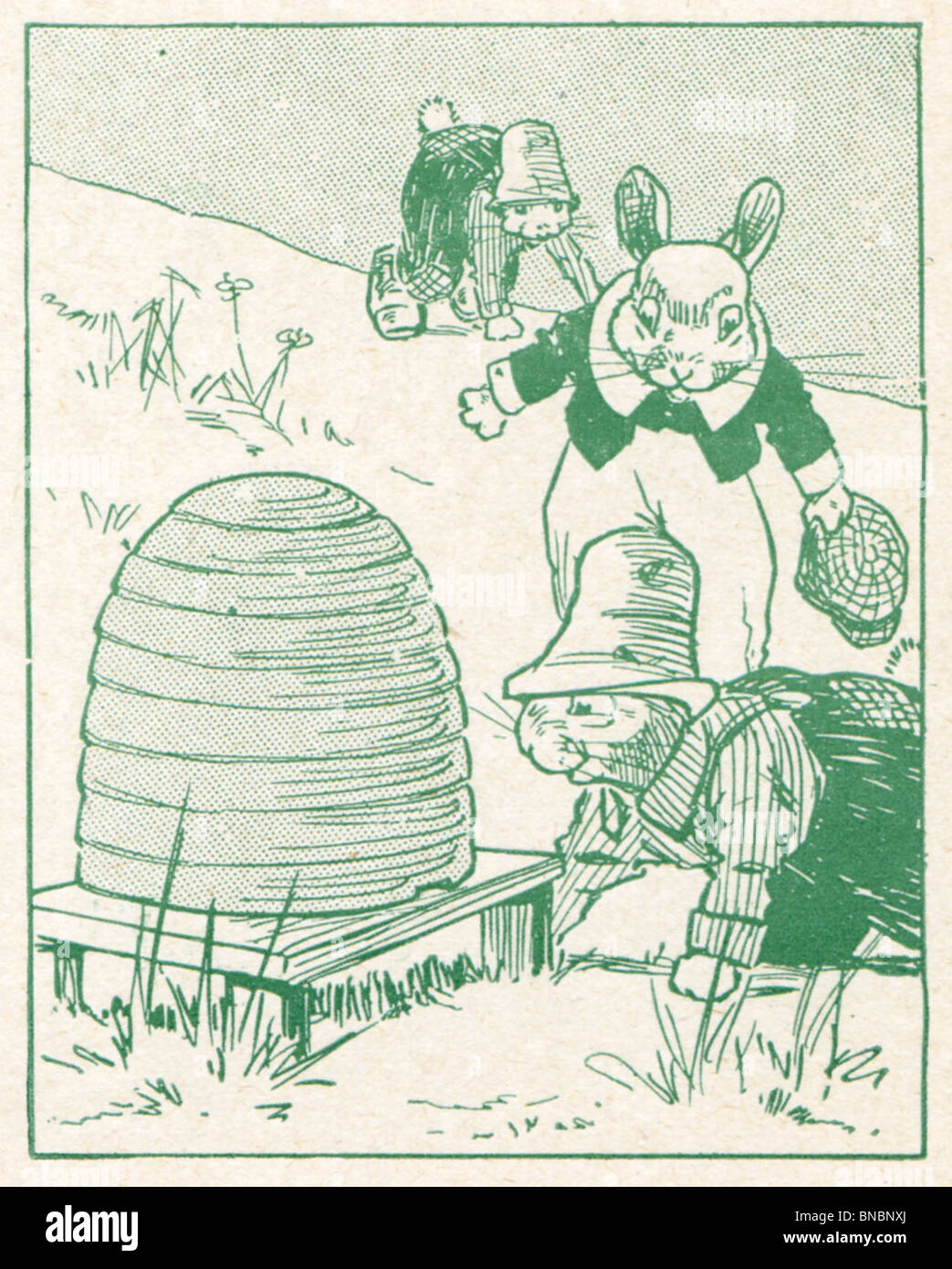 Cugino Bun dalla città - Immagine 2 Foto Stock