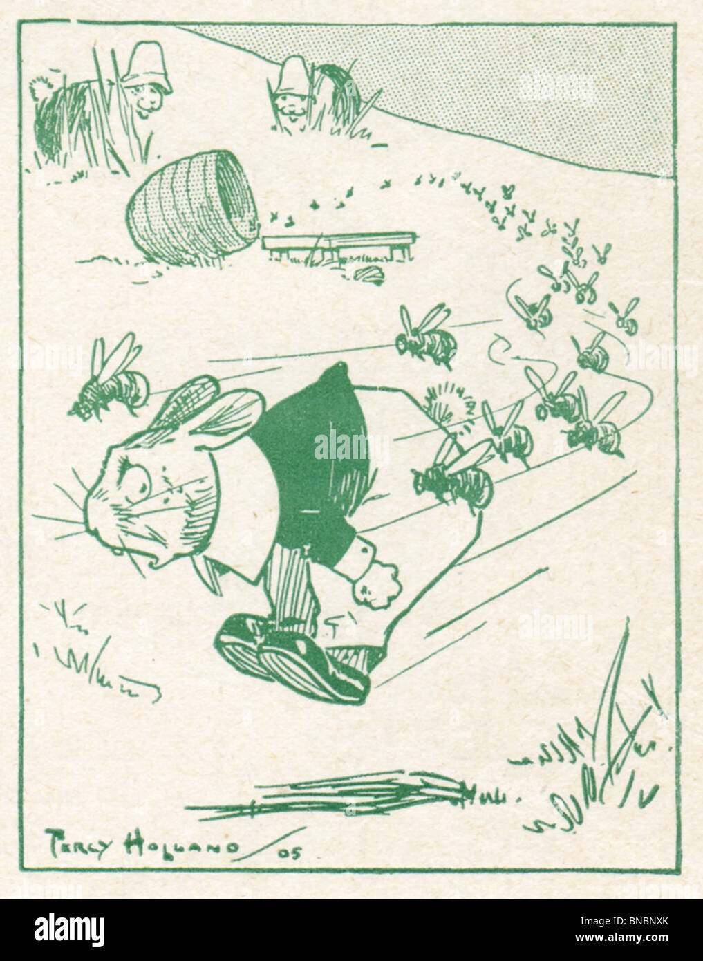 Cugino Bun dalla città - Immagine 3 Foto Stock