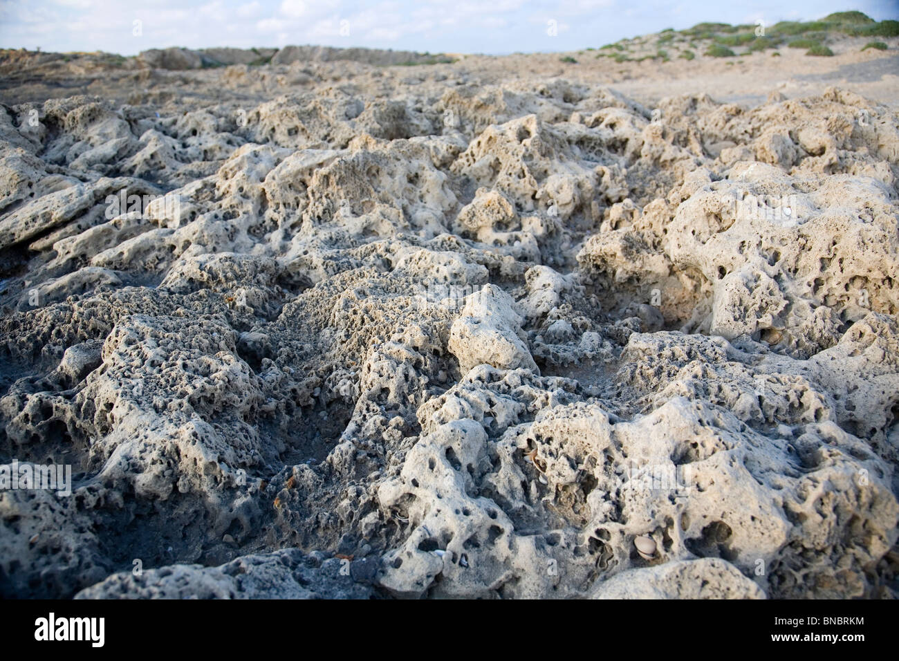 Le formazioni rocciose / erosione a Dor Beach - Israele Foto Stock