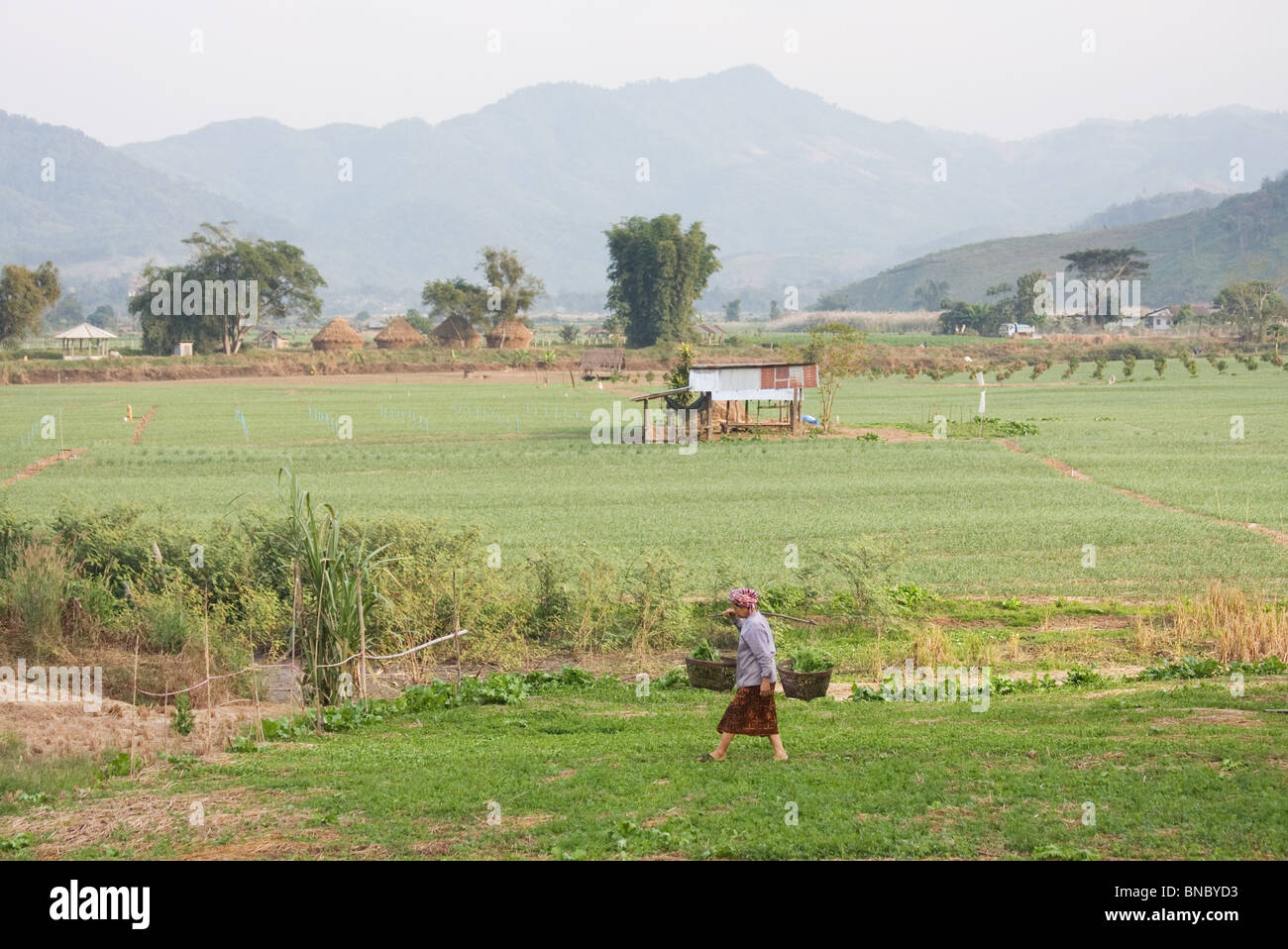 Donna che trasportano produrre in cesti, Tha Ton, Chiang Mai Provincia, Thailandia Foto Stock