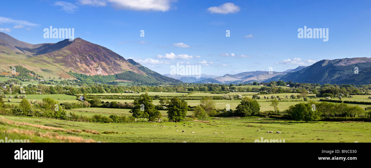 Parco Nazionale del Distretto dei Laghi, Cumbria, Regno Unito - Vista di central Lakeland fells, Skiddaw sulla sinistra, di fronte comune Bassenthwaite Foto Stock