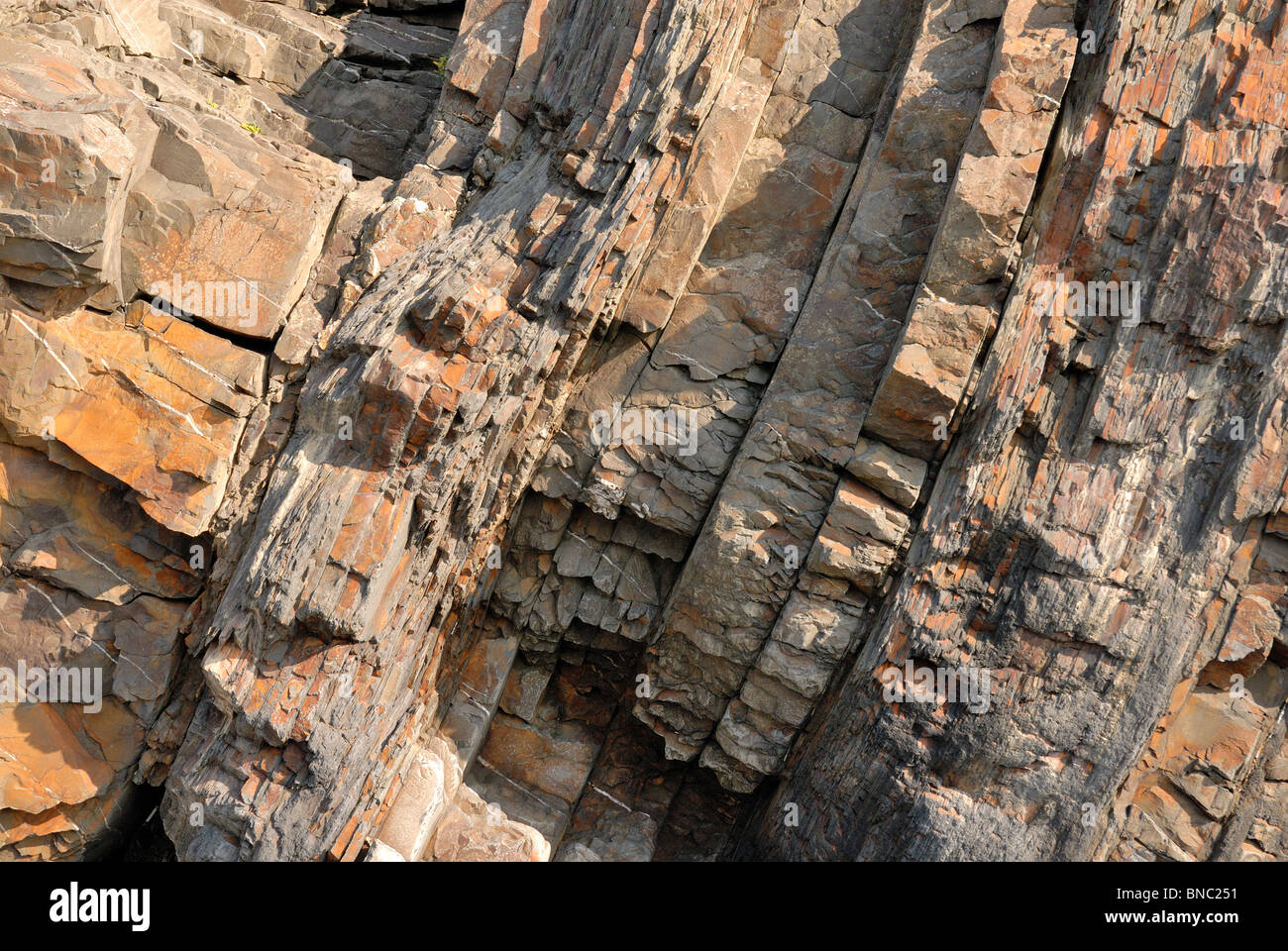 Close up di bande di Giallo bruno la formazione di roccia sulla spiaggia di Devon Foto Stock
