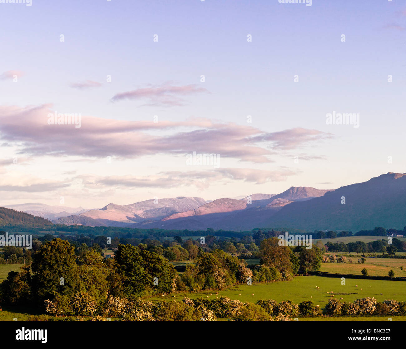 Montagne - Vista sulle colline centrali di Lakeland attraverso Bassenthwaite Common il Lake District, Cumbria, Inghilterra, Regno Unito al crepuscolo Foto Stock