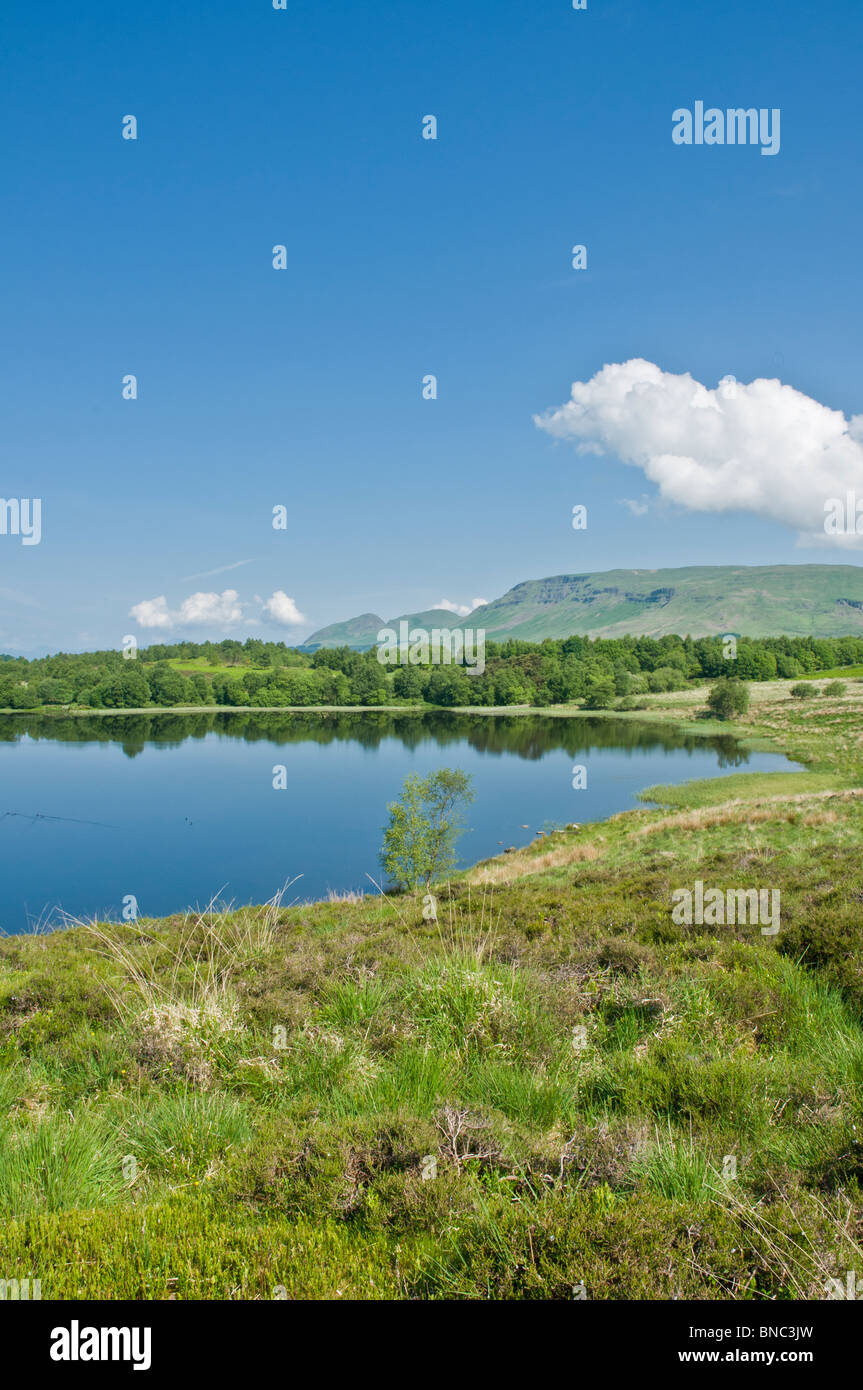 LOch Ardinning e Campsie Hills da nr Blanefield distretto di Stirling Scozia Scotland Foto Stock