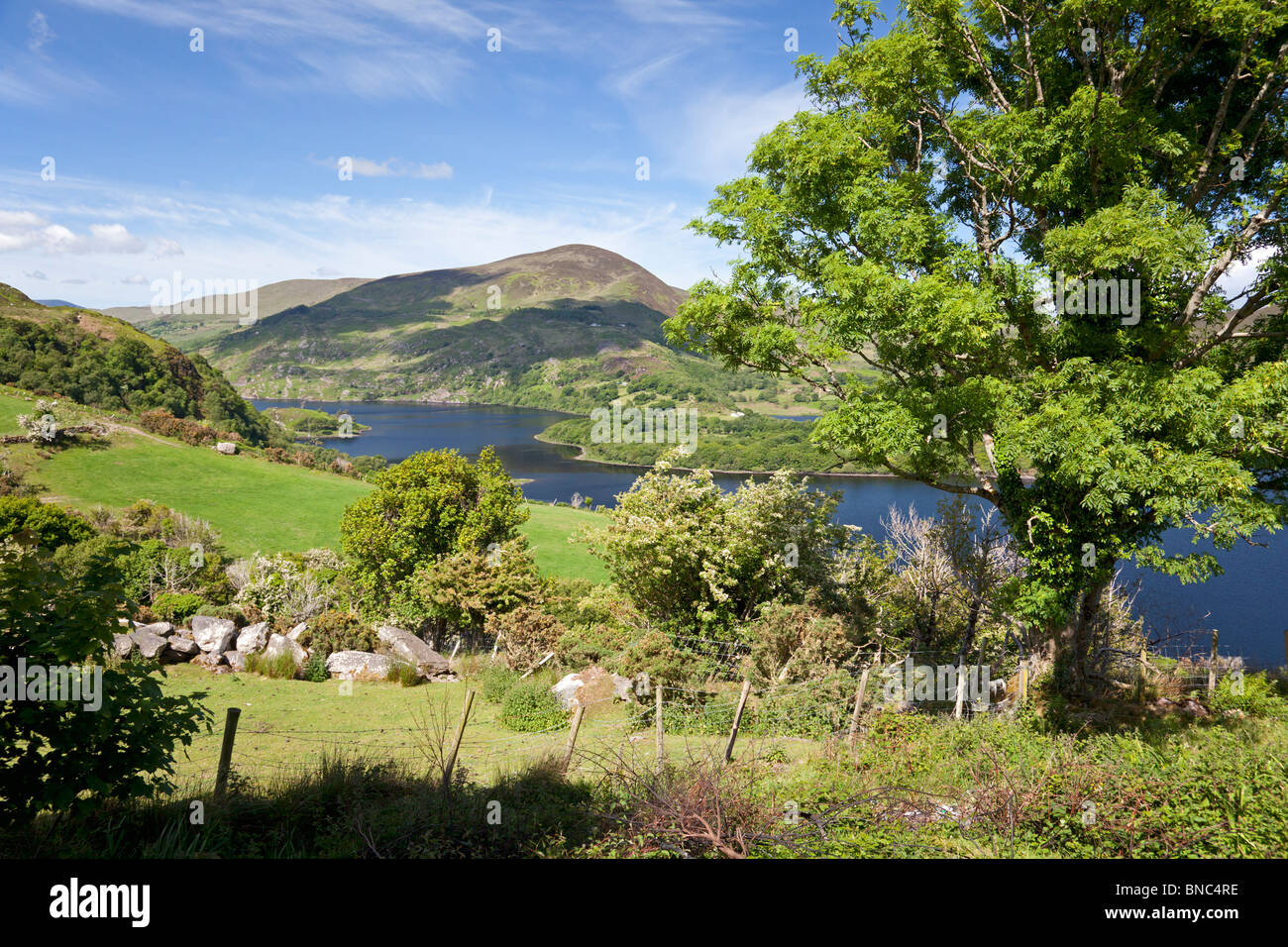 Lough Caragh, Co. Kerry, Irlanda Foto Stock