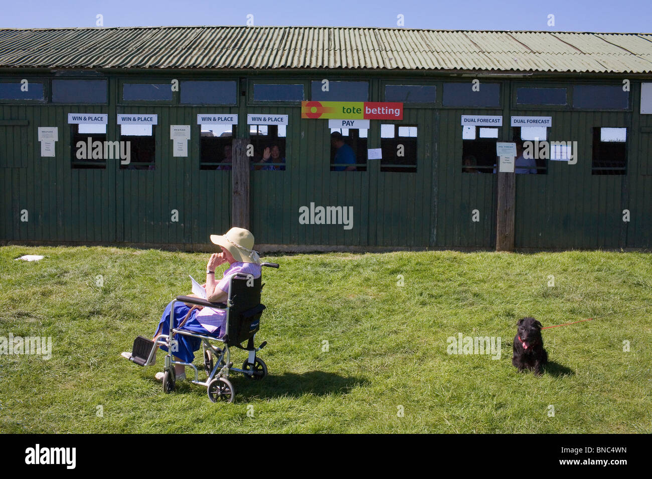 Una vecchia donna si siede su una sedia a rotelle accanto a un cane nella parte anteriore della borsa a una gara in una calda giornata estiva in campagna. Foto Stock