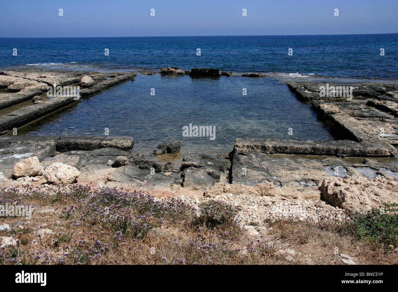 Romano vasche di pesci Lambousa Cipro del Nord Foto Stock