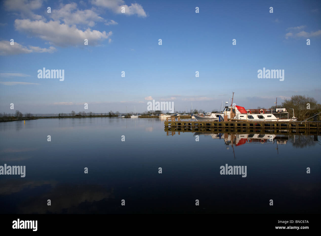 Marina ballyronan Lough Neagh county derry Londonderry Irlanda del Nord Regno Unito Foto Stock