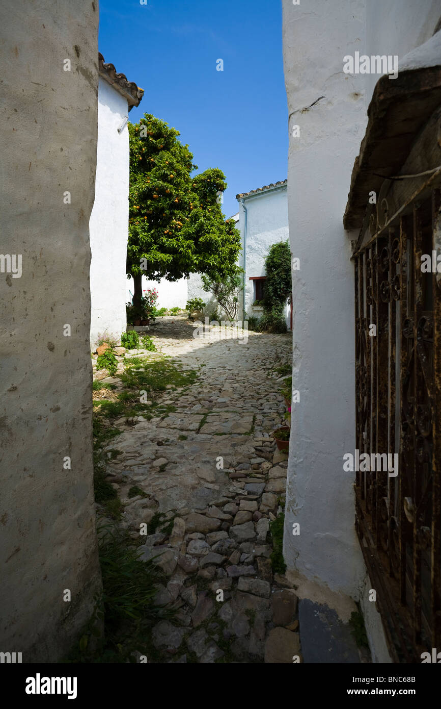 Funzioni tradizionali di un ben conservato Hill Top town. Foto Stock