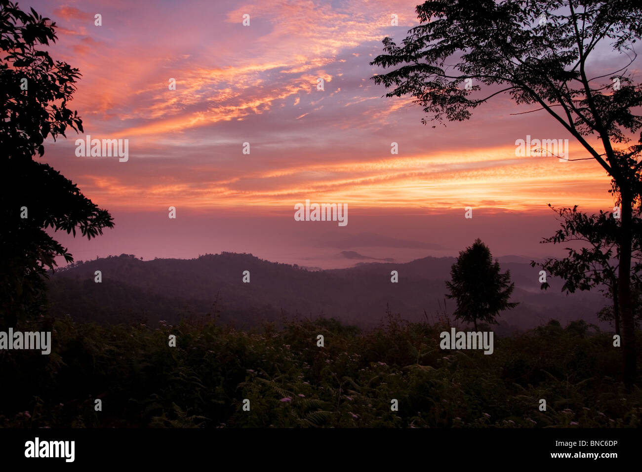 Sunrise vista dal Doi Lang guardando fuori sopra le valli boscose, Thailandia Foto Stock