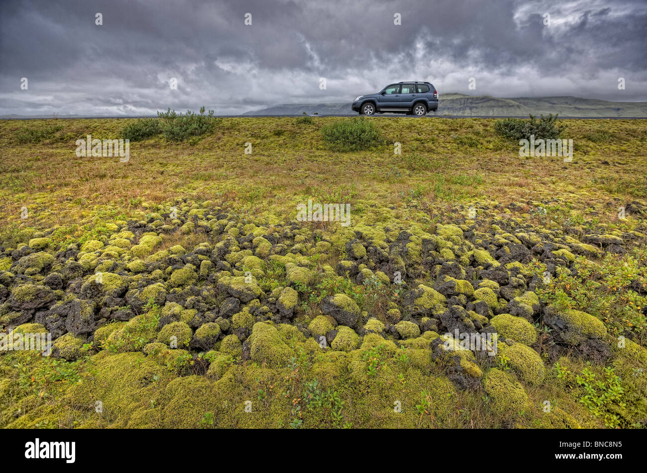 Moss lava coperto sulla costa sud dell'Islanda Foto Stock