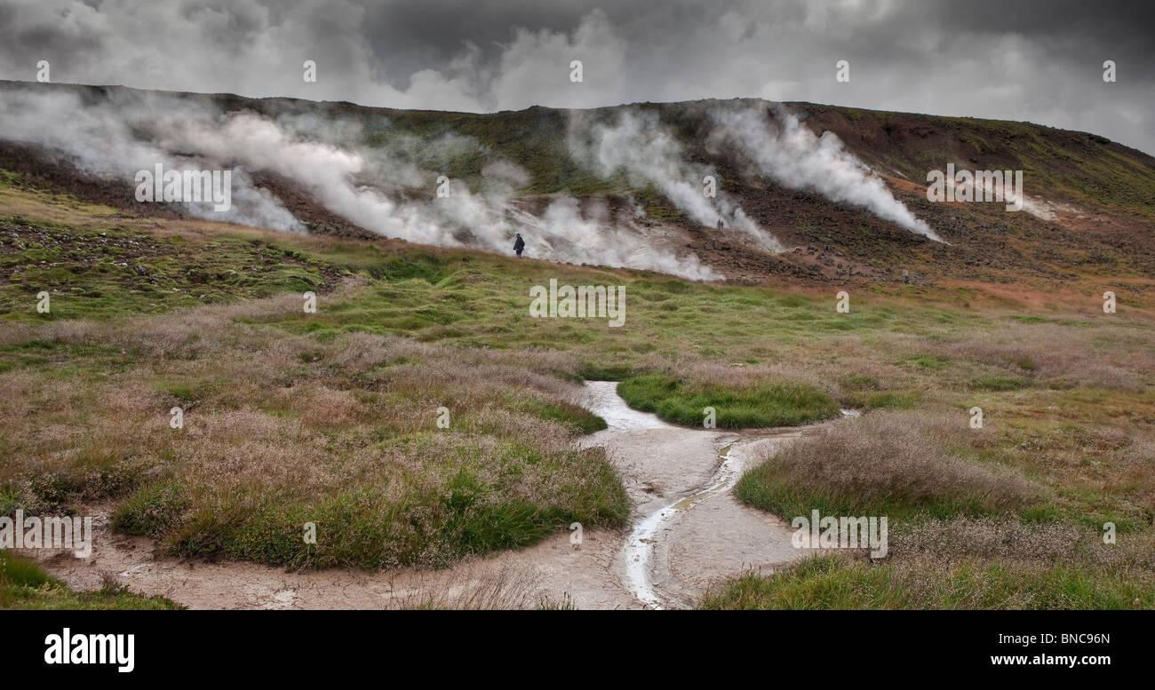 Sorgenti calde geotermali vaporizzazione, South Coast, Islanda Foto Stock