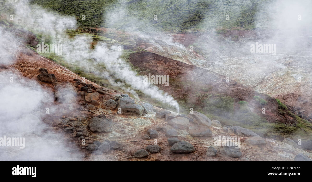 Sorgenti calde geotermali vaporizzazione, South Coast, Islanda Foto Stock