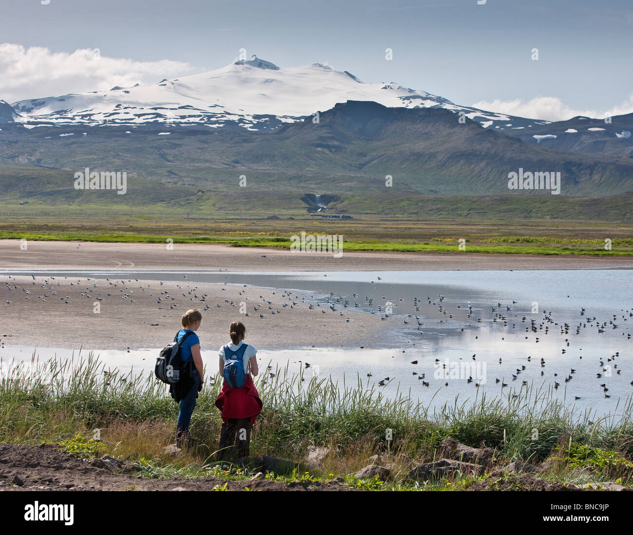 Ragazze godendo la vita degli uccelli. Ghiacciaio Snaefellsjokull in background, Snaefellsnes Peninsula, Islanda Foto Stock