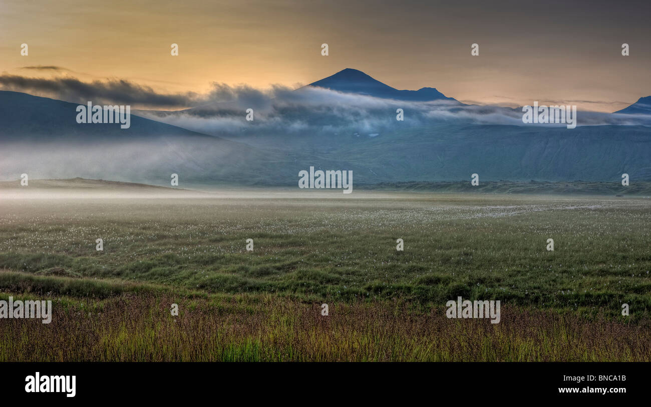 Nebbia su campi, Snaefellsnes Peninsula, Islanda Foto Stock