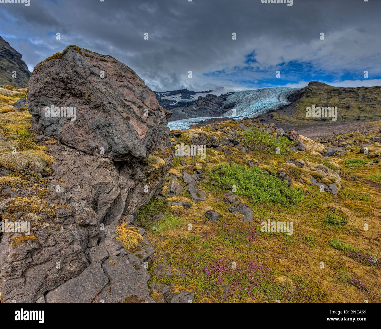 Massi di lava sulla tundra sotto ghiacciaio sul Oraefajokull, Islanda Foto Stock