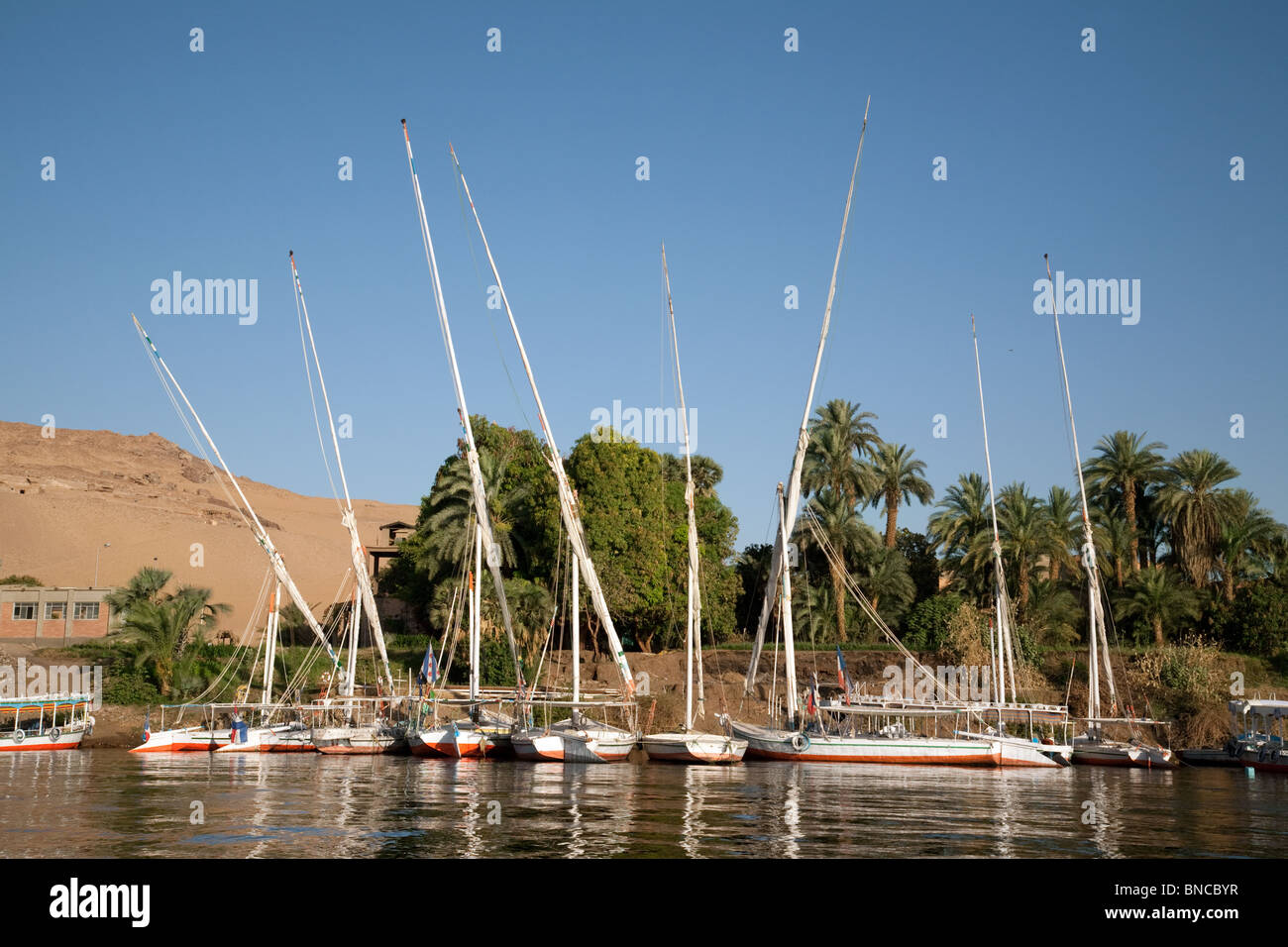 Feluche ormeggiati a riva del fiume Nilo ad Aswan, Alto Egitto Foto Stock