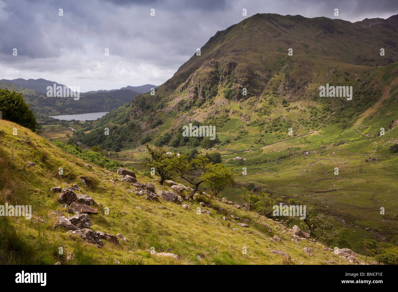 Regno Unito, Galles Snowdonia, paesaggio panoramico sopra Gwynant Llyn Foto Stock