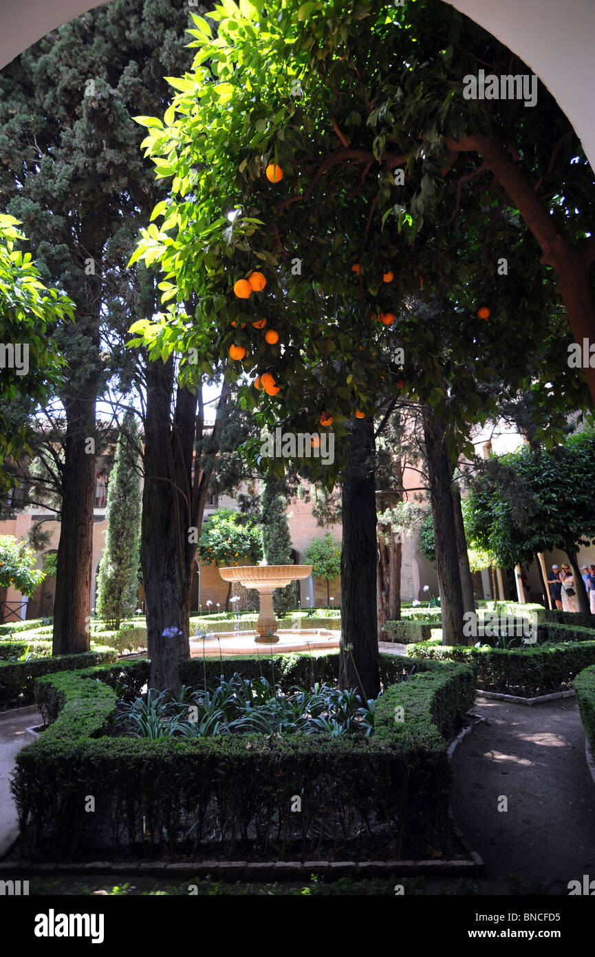 Un arancio nel Patio de Lindaraja originariamente una inferiore del giardino del Palazzo dei Lions Foto Stock