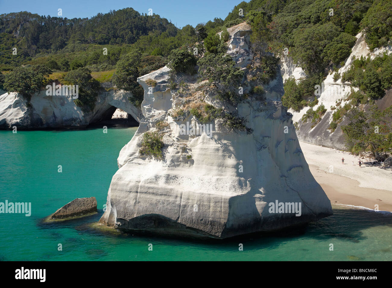 Rock Stack al Cove della cattedrale, Penisola di Coromandel, Isola del nord, Nuova Zelanda - aerial Foto Stock