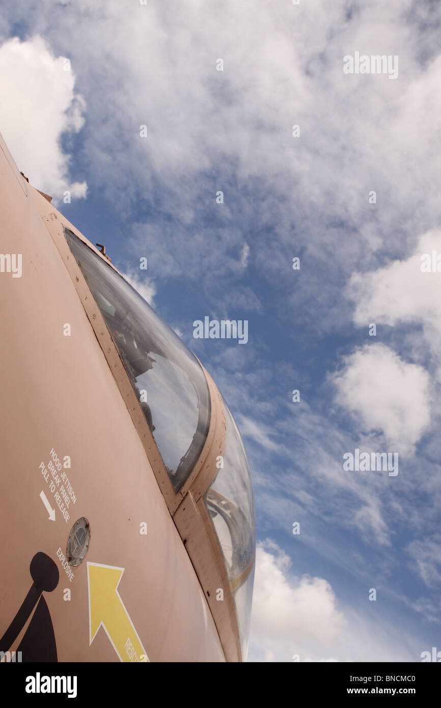 Jet da combattimento aereo velivolo con il Cielo di estate blu e il cloud computing Foto Stock