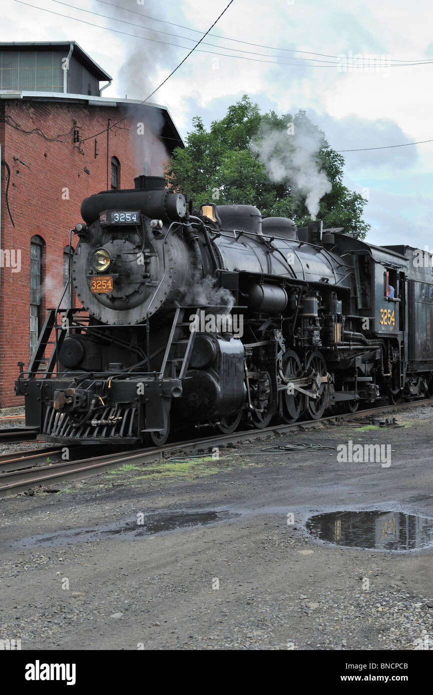 Il Canadian National #3254, Steamtown National Historic Site, Scranton, PA 100710 35616 Foto Stock