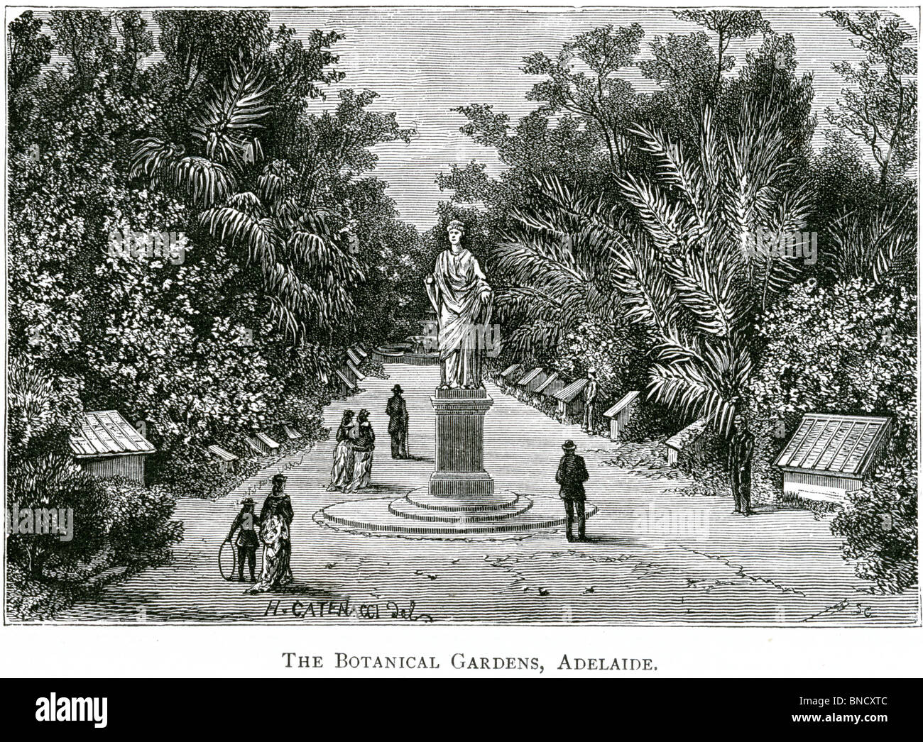 Una incisione di Giardini Botanici, Adelaide, Australia del Sud - pubblicata in un libro stampato in 1886. Foto Stock