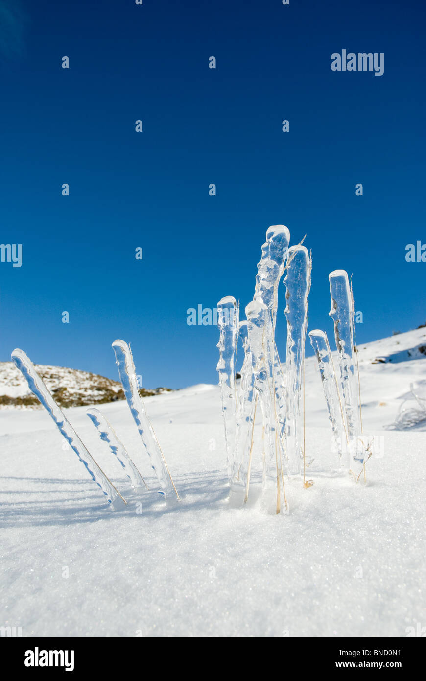 Ghiaccioli sul Monte Hutt Nuova Zelanda Foto Stock