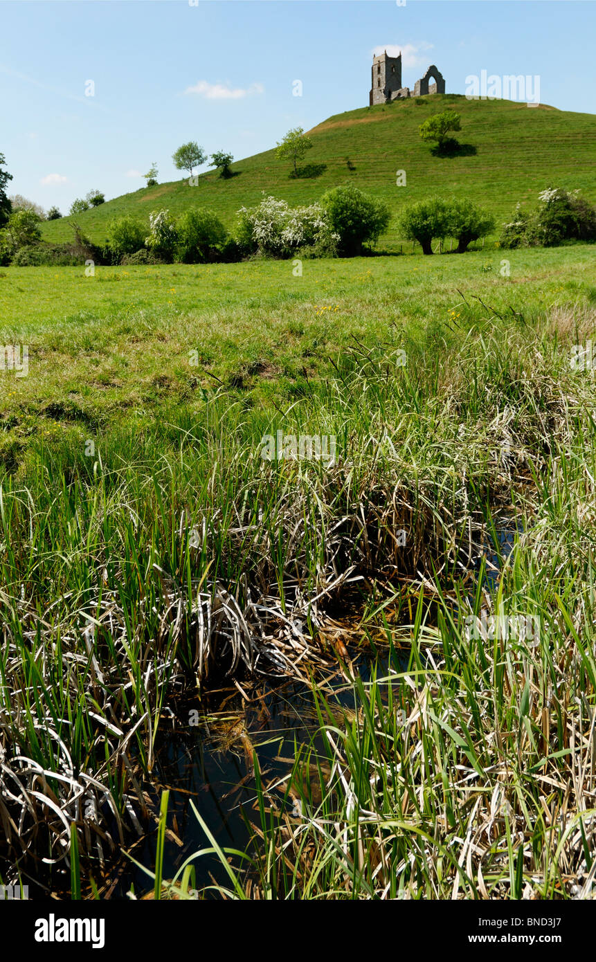 Prominente punto di riferimento del Burrow mump in Somerset in una giornata di sole con una fossa di scolo in primo piano. Foto Stock