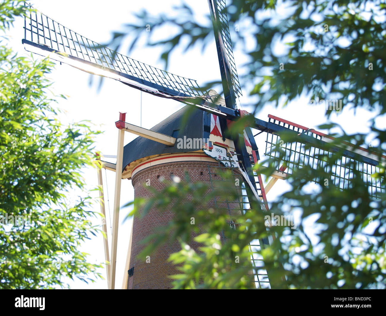 Tipico mulino a vento olandese Visto attraverso foglie Etten-Leur Brabant paesi bassi Foto Stock
