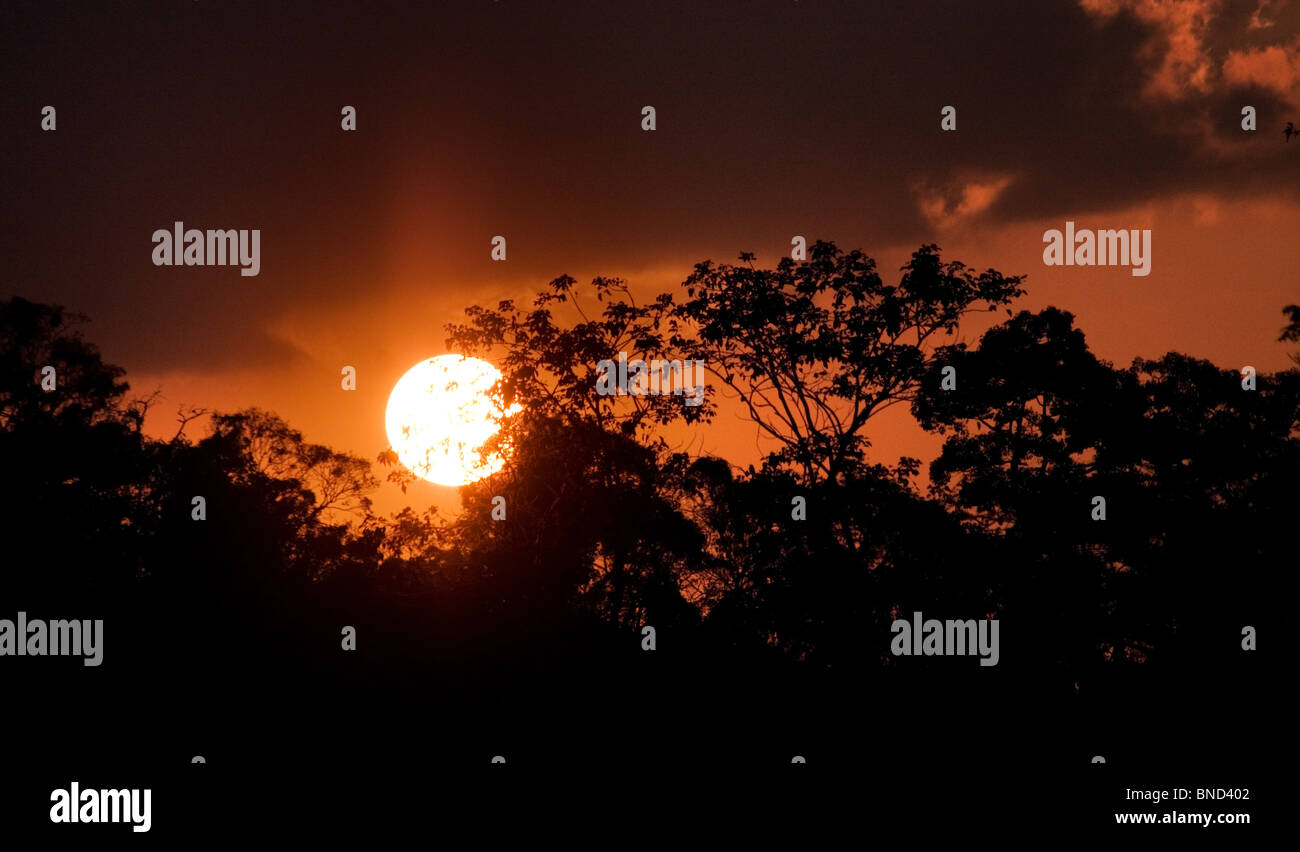 Tramonto sul Parco Nazionale di Khao Yai, Thailandia Foto Stock