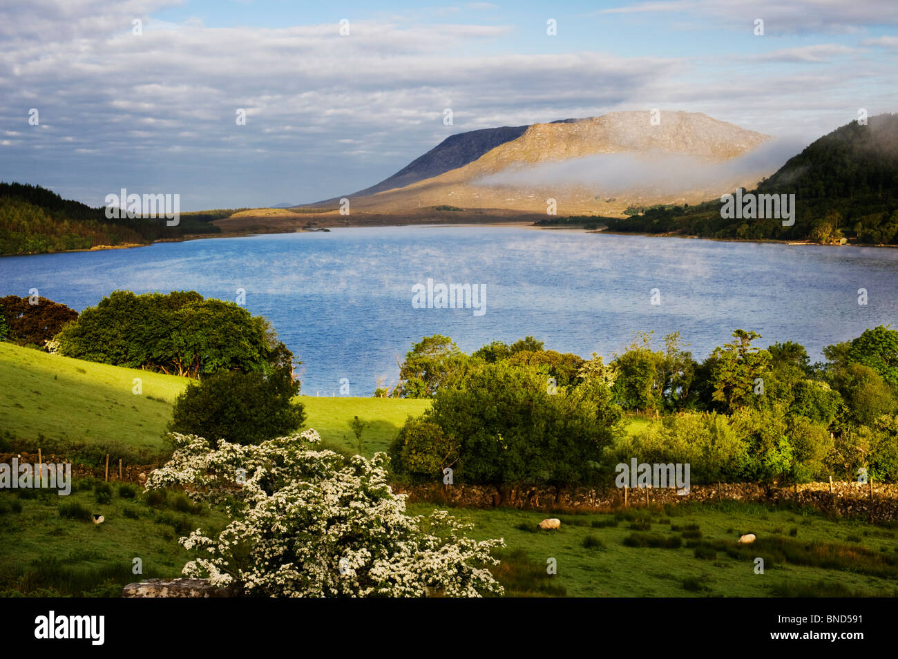 Il nord-riva occidentale del Lough Corrib, vicino Doon rocce, guardando verso la montagna Lackavrea, Connemara, Co Galway, Irlanda Foto Stock